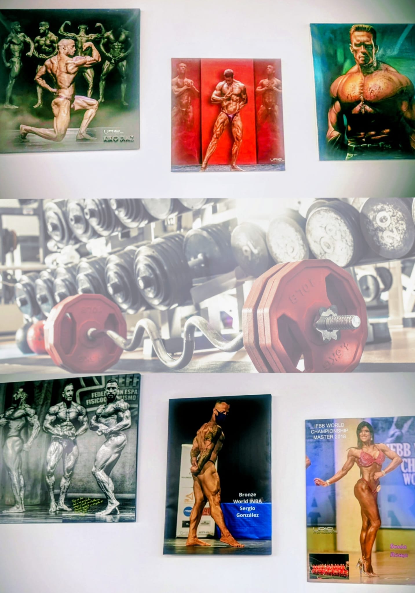 La mejor maquinaria para tu bienestar